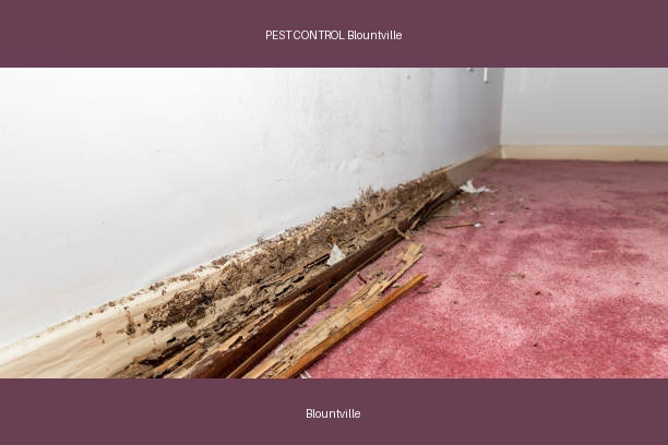 PEST CONTROL Blountville